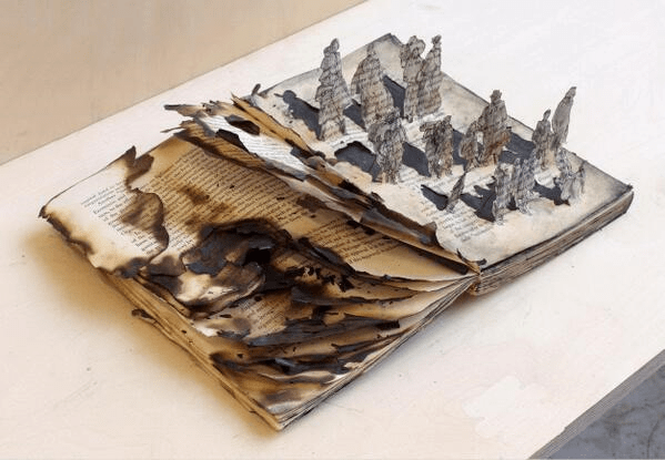 Julia Mason uprooted